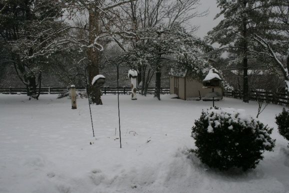 20100209 - Snow Storm - 15 February 2010